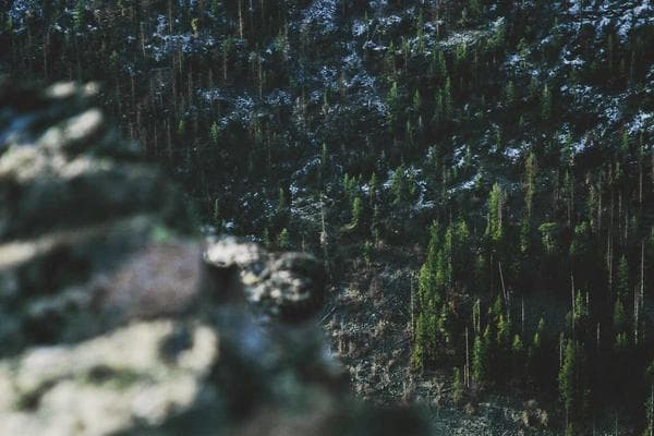 Seedance 2.0 vs Kling 3.0: The Definitive AI Video Model Comparison